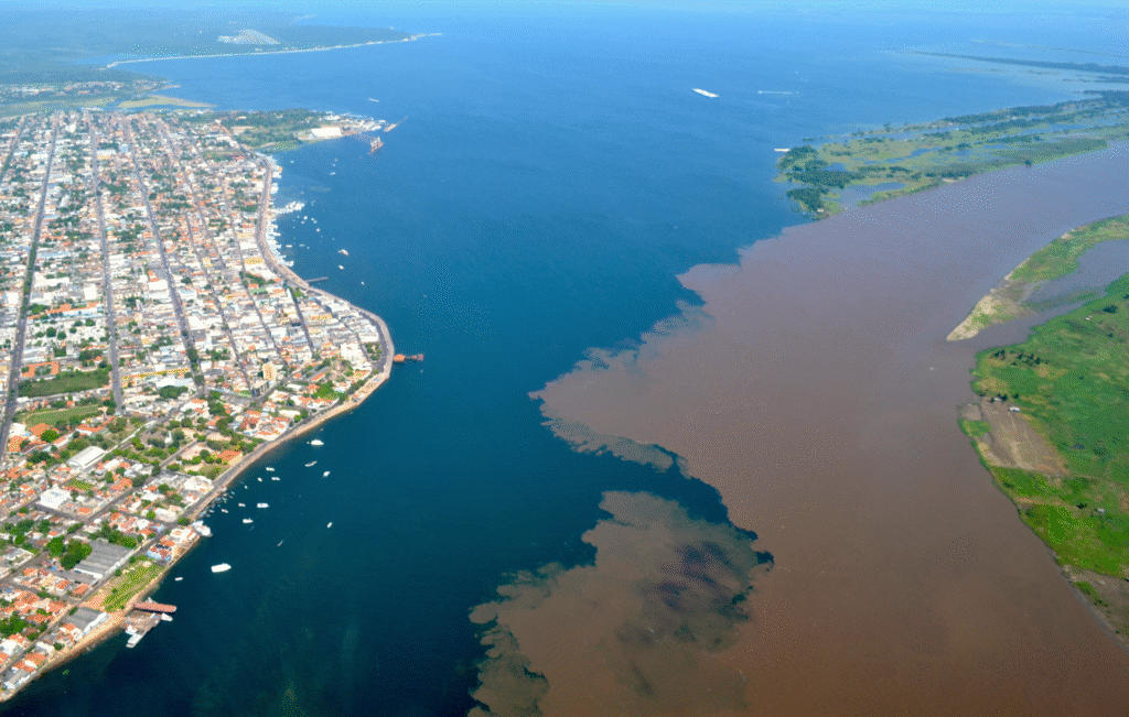 image-1-1024x651.png