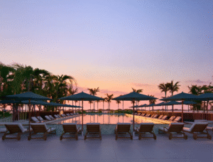 vg_collection_amazonia-1