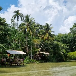 SaveClip.App_468877563_576113678566141_4540078294051300832_n