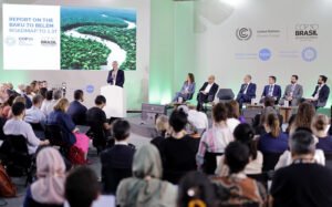 54926049214_e2bc4f0be0_c